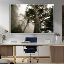 Misty Forest Tall Trees Foggy Atmosphere Nature Serenity by MyGreatCanvas | Canvas Wall Art Prints | Photo Prints & Wall Decor