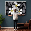 Plumeria Frangipani Black Stone Canvas | White Flower Spa by MyGreatCanvas | Canvas Wall Art Prints | Photo Prints & Wall Decor