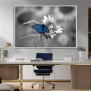 Blue Butterfly Black and White Canvas Wall Art by MyGreatCanvas | Canvas Wall Art Prints | Photo Prints & Wall Decor