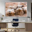 Lion Pair Wall Art Canvas Print – Framed Wildlife Scene with