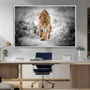 Jaguar Wall Art Canvas Print - Majestic Big Cat in Focused by MyGreatCanvas | Canvas Wall Art Prints | Photo Prints & Wall Decor