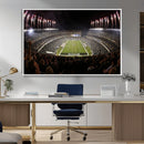 Eagles Field Stadium Wall Art - Philadelphia Eagles Football