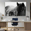 Black Horse in Snow Canvas Print | Winter Horse Wall Art |