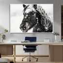 Framed Black and White Horse Wall Art | Ready to Hang and by MyGreatCanvas | Canvas Wall Art Prints | Photo Prints & Wall Decor