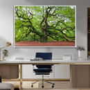 Framed Angel Oak Tree Wall Art - 3-Panel Canvas Prints,