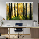 Sunlit Forest Wall Art Canvas Print – Large Framed Woodland