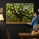Angel Oak Tree Wall Art Canvas Print | Forest Tree Nature