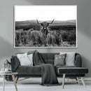 Black and White Highland Cow Canvas Wall Art, Longhorn by MyGreatCanvas | Canvas Wall Art Prints | Photo Prints & Wall Decor
