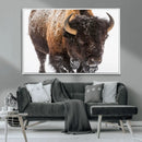 Bison Wall Art Canvas Print For Farmhouse, Wild Animal Wall by MyGreatCanvas | Canvas Wall Art Prints | Photo Prints & Wall Decor