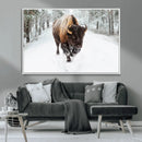 Bison Wall Art Canvas Print For Farmhouse, Animal Canvas