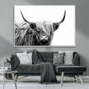 Black White Scottish Highland Cow Cattle Art Print Farmhouse