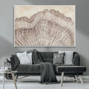 Tree Ring Wall Art Triptych, Rustic Wood Ring Canvas Print,