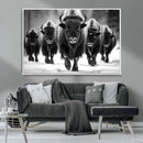 American Bison Art | Buffalo Herd Wall Art Canvas Print, BW by MyGreatCanvas | Canvas Wall Art Prints | Photo Prints & Wall Decor