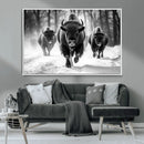 Buffalo Wall Art Canvas Print, Bison Family Wall Art Canvas by MyGreatCanvas | Canvas Wall Art Prints | Photo Prints & Wall Decor