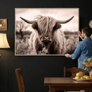 Scottish Cow Longhorn Wall Art Canvas Print