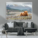 Highland Cow Horn Farm Wall Art Canvas Print