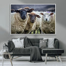 Charming Sheep Portrait Wall Art – Trio of Woolly Companions by MyGreatCanvas | Canvas Wall Art Prints | Photo Prints & Wall Decor