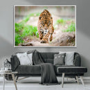Leopard on the Prowl - Stunning Large Framed Leopard Wall