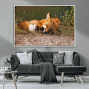 Sleeping Fox Wall Art Canvas Print, Farmhouse Wall Decor and
