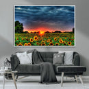 Golden Sunflower Field at Sunset – Breathtaking Sky and