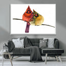 Cardinal Bird Canvas Wall Art - Male and Female Cardinal