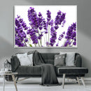 Lavender Flower Wall Art Canvas Print by MyGreatCanvas | Canvas Wall Art Prints | Photo Prints & Wall Decor