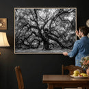 Black and White Old Angel Oak Tree Wall Art Canvas Print