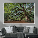 Historic Tree Wall Art – Framed Mossy Branch Canvas Artwork, by MyGreatCanvas | Canvas Wall Art Prints | Photo Prints & Wall Decor