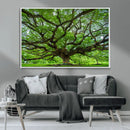 Angel Oak Tree Wall Art Canvas Print – Framed Majestic
