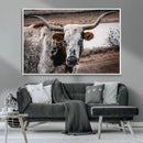 Texas Longhorn Wall Art Canvas Print – Framed Spotted Bull