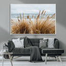 Beach Grass Wall Art – Framed Coastal Dunes Canvas Artwork, by MyGreatCanvas | Canvas Wall Art Prints | Photo Prints & Wall Decor