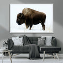 Bison Wall Art Canvas Print – Framed Western Wildlife by MyGreatCanvas | Canvas Wall Art Prints | Photo Prints & Wall Decor