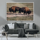 Bison Wall Art Canvas Print – Framed Western Wildlife Modern