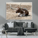 Texas Longhorn Wall Art Canvas Print – Framed Country Living