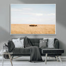 Bison Grassland Wall Art – Framed Minimal Nature Canvas by MyGreatCanvas | Canvas Wall Art Prints | Photo Prints & Wall Decor
