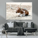 Majestic Longhorn Wall Art Canvas Print – Resting on Sunlit by MyGreatCanvas | Canvas Wall Art Prints | Photo Prints & Wall Decor