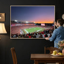 Dooley Stadium Wall Art, Sports Arena Canvas Print, Dooley