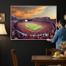 Dooley Stadium Wall Art, Sports Arena Canvas Print, Dooley