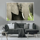 Wild Elephant Wall Art Canvas Print by MyGreatCanvas | Canvas Wall Art Prints | Photo Prints & Wall Decor