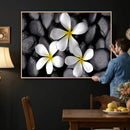 Plumeria Frangipani Black Stone Canvas | White Flower Spa by MyGreatCanvas | Canvas Wall Art Prints | Photo Prints & Wall Decor