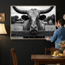 Black White Texas Longhorn Bull Canvas Wall Art, Western Ranch Cattle Photography Print, Rustic Farmhouse Cowboy Decor Artwork
