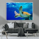 Sea Turtle Wall Art Canvas Print, Sea life in the Ocean Wall