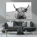 Newfoundland Cow Art Wall Art, Black White Cow Art Wall Art