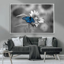 Blue Butterfly Black and White Canvas Wall Art by MyGreatCanvas | Canvas Wall Art Prints | Photo Prints & Wall Decor