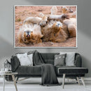 Lion Pair Wall Art Canvas Print – Framed Wildlife Scene with