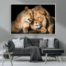 Lion and Lioness Wall Art Canvas Print – Framed African