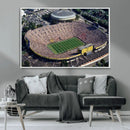 Michigan Wolverines Football Team Print - Ann Arbor Michigan
