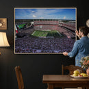 South Carolina Gamecocks Football Team Print - Columbia