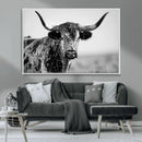 Texas Cow Longhorn Wall Art Canvas Print in Black and White