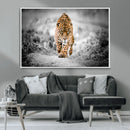 Jaguar Wall Art Canvas Print - Majestic Big Cat in Focused by MyGreatCanvas | Canvas Wall Art Prints | Photo Prints & Wall Decor